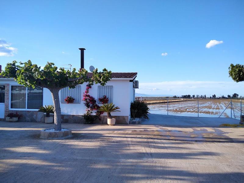 Caseta Del Chato Deltebre Kültér fotó